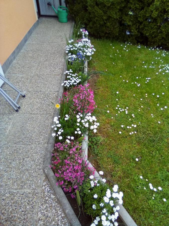 Iris Room & Apartment Slunj Exterior photo